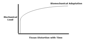 Biological systems adapt to prolonged mechanical loads. Tissues literally change in response to these loads; they adapt to become longer or shorter in response to the loads (11). This includes the biomechanical loads caused by the prolonged use of cellular devices. The technical term for this premise is called viscoelastic creep (12).